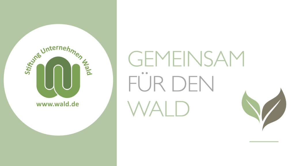 Gemeinsam pflanzen wir Wald - jetzt Bäume spenden.