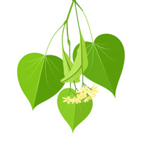 lindenblatt - Baumspende